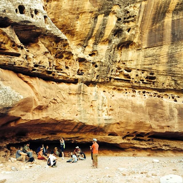 Honors students in a Capitol Reef wash during a yoga/sustainability excursion