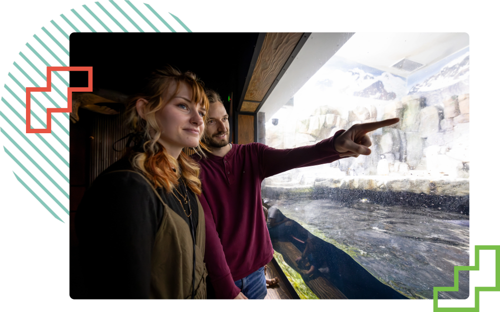 two people at Loveland Aquarium looking at the otter exhibit