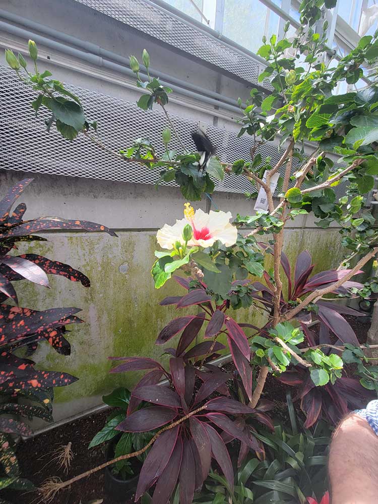 social_43