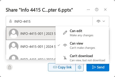 Permission options available when sharing. The checkmark indicates the currently selected permission.