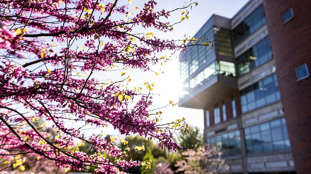 campus exterior in spring