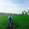 Man walking in a field of green grass