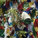 Lumbini, Nepal