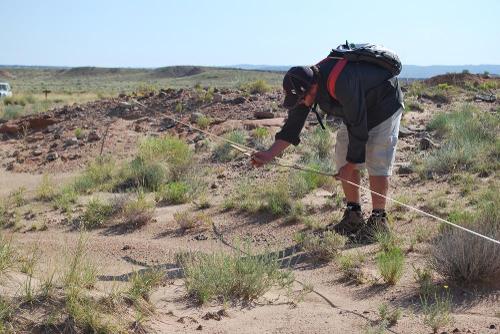 Matt Want surveying plants at Capitol Reef National Park