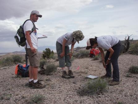 Matt Want observing others taking a plant sample at Capitol Reef National Park