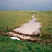 photo of a river in a grassy field