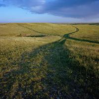 photo of a grassy field