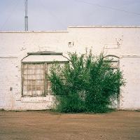 photo of a house with a bush in front