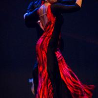 dancers from ballroom dance company