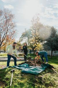 Planting Trees