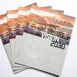 Vision 2030 Pamphlet