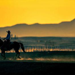 Person on a horse with mountains in the background