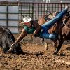Rodeo member jumping off a horse and on to a calf