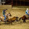 Rodeo members roping a calf