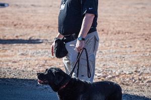 Man with a dog on a leash