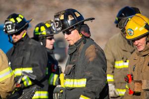 Group of firefighters