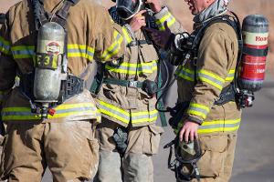 Group of firefighters