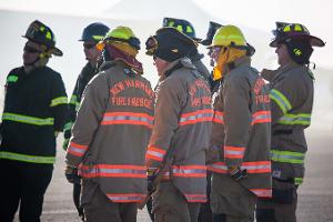 Group of firefighters