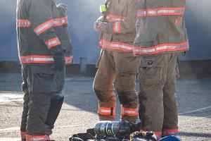 Group of firefighters