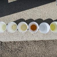 Different chemicals in cups lined up