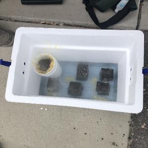 Asphalt samples conditioning