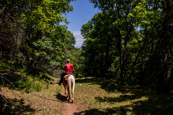 Veteran riding horses as part of the UVU work study program