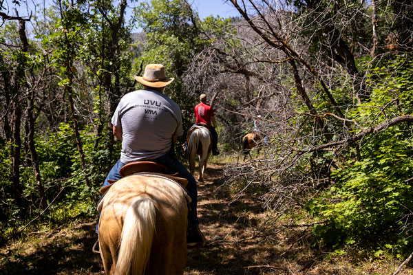 Veterans riding horses as part of work study program