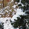 Capitol Reef National Park