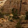 Capitol Reef National Park - Hickman Bridge