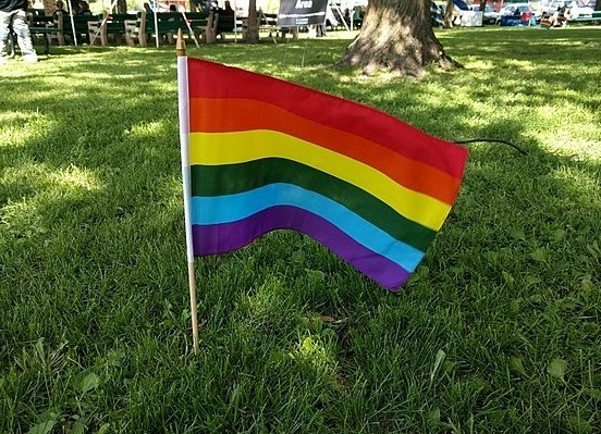 Pride flag planted in the lawn