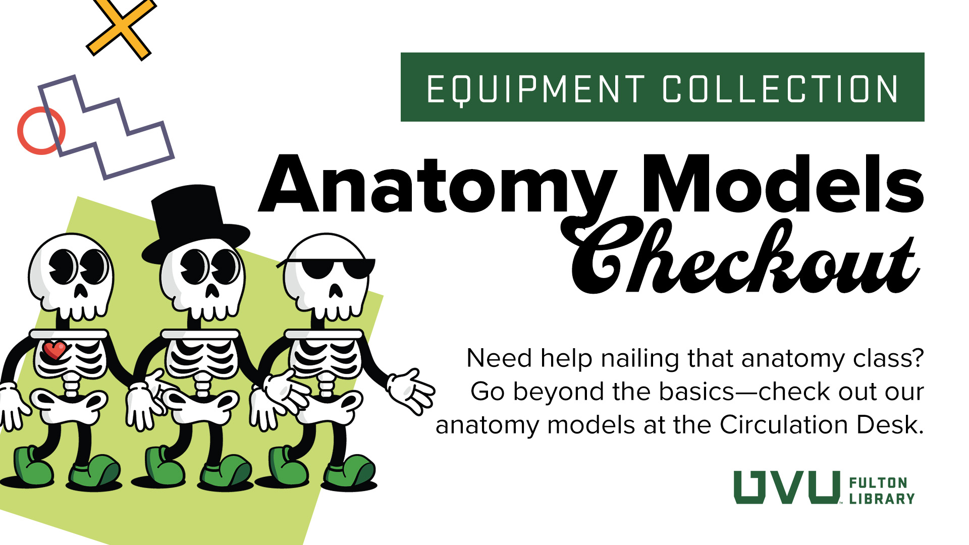 Anatomy models