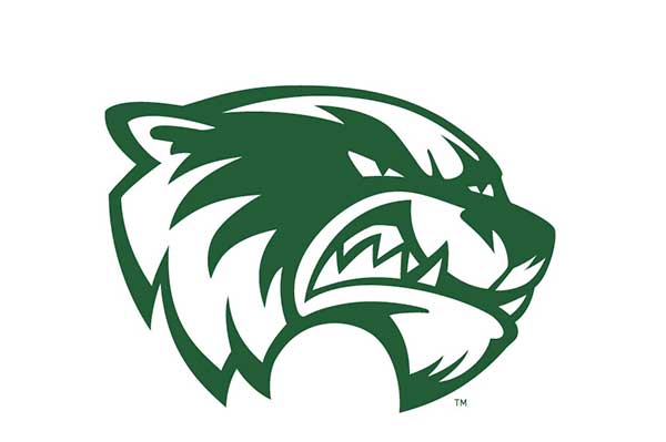 Green mascot on white background.