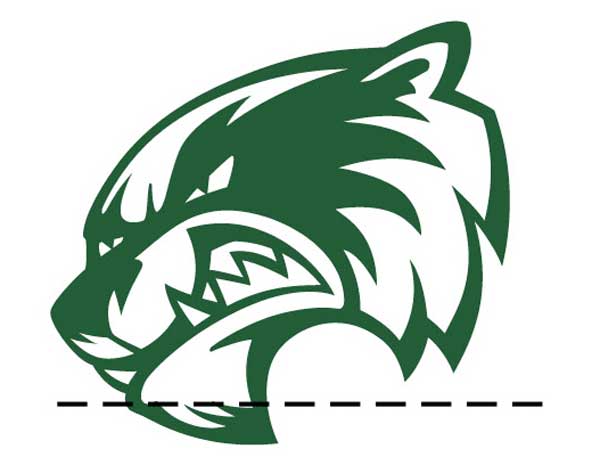Wrongly rotated mascot.
