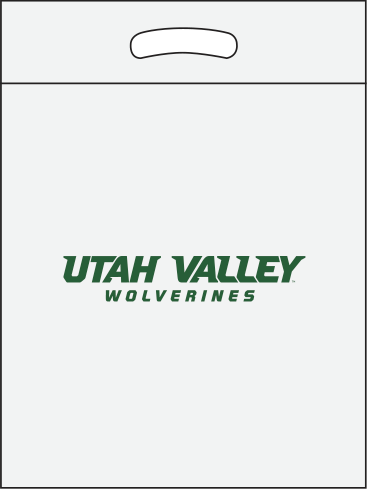 White/clear bag with green print White/Clear bag with green print