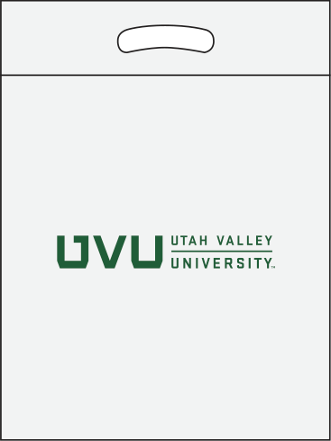 White/clear bag with green print White/Clear bag with green print