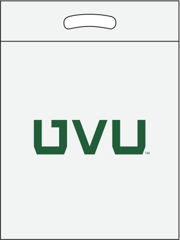 White/clear bag with green print White/Clear bag with green print