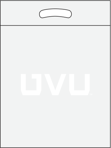 White/clear bag with White print White/clear bag with white print