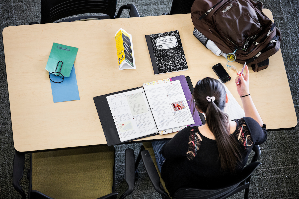 Student studying on campus