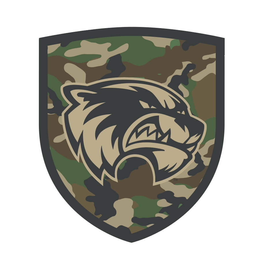 mashshield