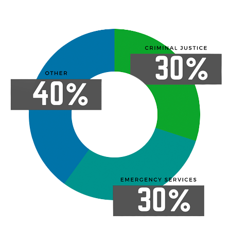A pie chart showing the percentages of the student cohort background: 30% Criminal Justice, 30% Emergency Services, and 40% Other.