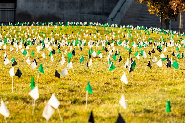 Thousands of small green, black, and white flags planted across UVU's courtyard.