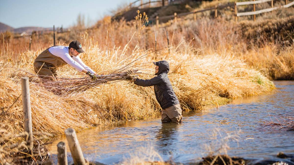 UVU students in waders cleaning up the ecosystem in Park City during alternative break.