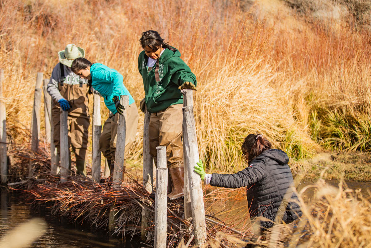 UVU students volunteering in Park City wetlands during alternative break.