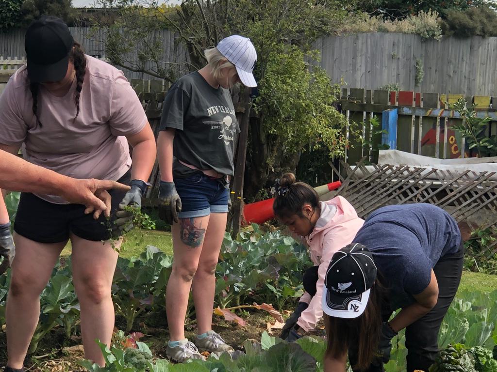 UVU students engage in service learning in Christchurch, New Zealand, by working on a community garden planted in the aftermath of the major earthquakes. The garden was planted as a way of pulling the community together and provide healing to the citizens after the earthquakes of 2010 and 2011.