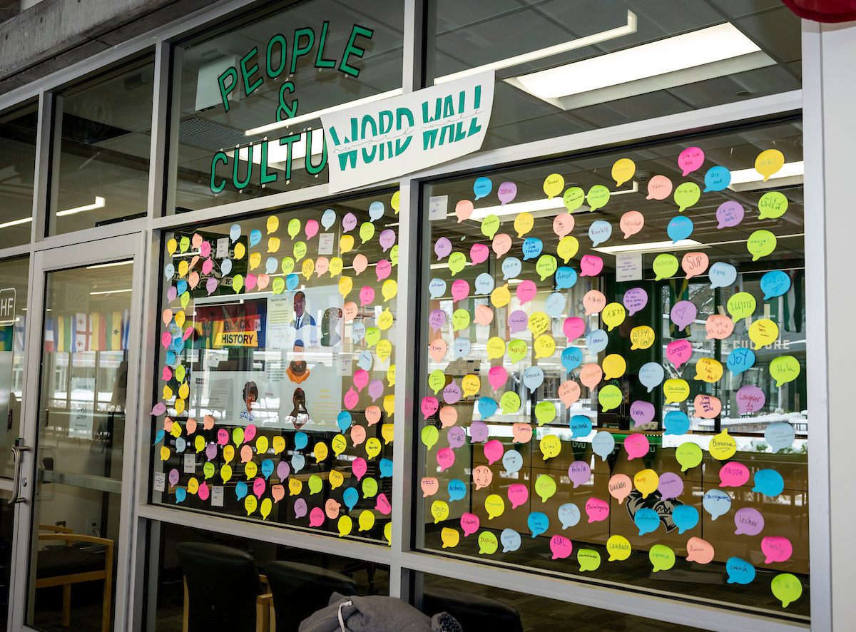 Mother Language Day Word Wall