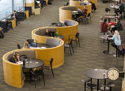 Students studying in the library