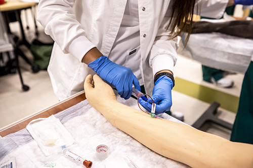 Nursing student practicing sticking a patient with a needle to draw blood on a test dummy