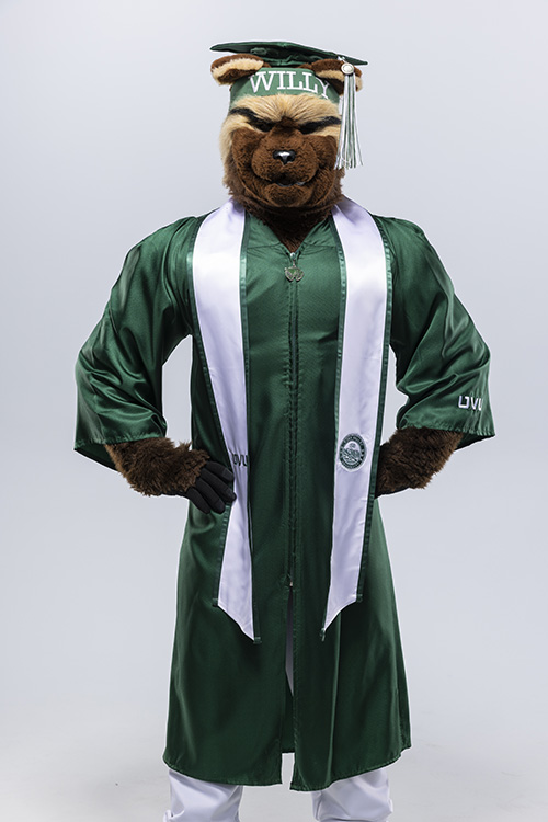 Willy the Wolverine wearing a UVU graduate rob