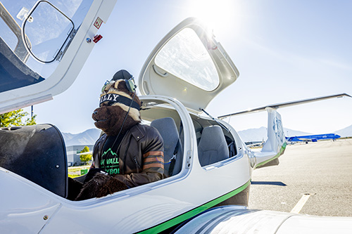 Willy the Wolverine sitting in the cockpit of a one man airplane
