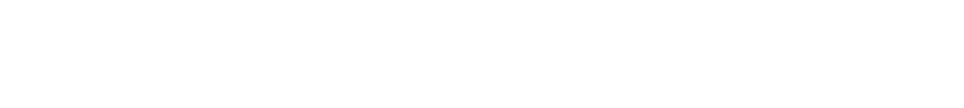 NSS logo